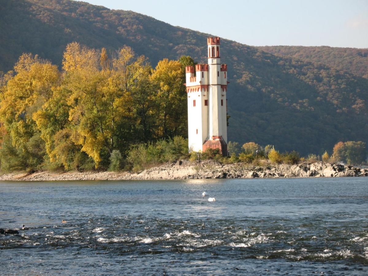 Helle Fewo, 60 Qm, Souterrain, Eigener Eingang, Rhein Und Nahe Bingen am Rhein Exteriör bild